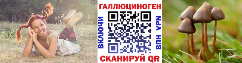 Псилоцибиновые грибы мицелий  купить наркотик  Зверево 